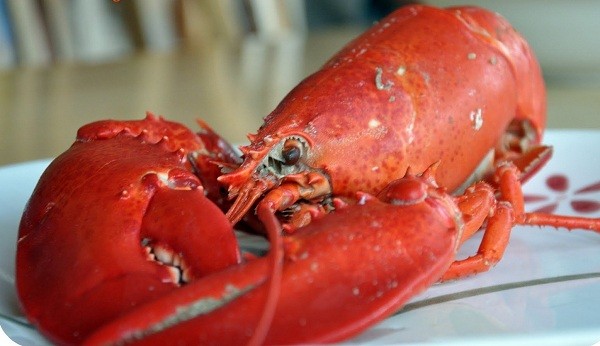 "Hoang[-]tưởng"[-]về[-]thực[-]phẩm[-]kh&ocirc;ng[-]phải[-]ai[-]cũng[-]biết[-]4